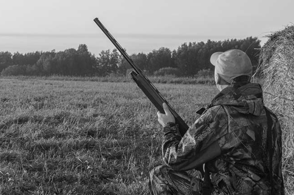 Groundbreaking research shows perception of firearm suicide differs from reality of the crisis